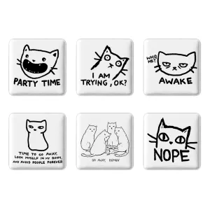 مگنت مربعی گربه (Cat)