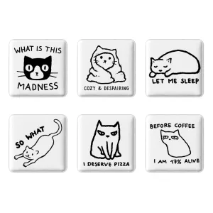 مگنت مربعی گربه (Cat)