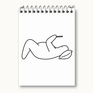 دفتر یادداشت تنبل خسته