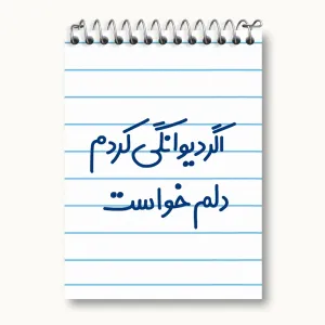 دفتر یادداشت اگر دیوانگی کردم دلم خواست