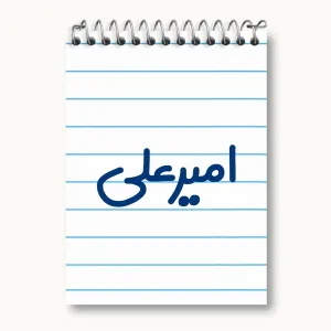دفتر یادداشت امیرعلی