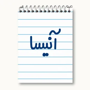 دفتر یادداشت آنیسا