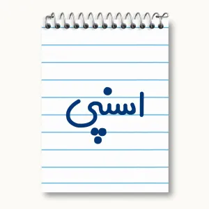 دفتر یادداشت اسنپی