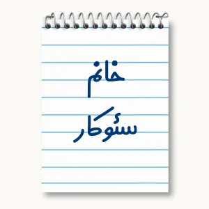 دفتر یادداشت خانم سئوکار