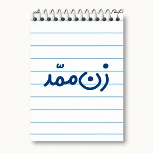 دفتر یادداشت زن ممد