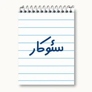 دفتر یادداشت سئوکار