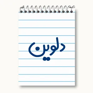 دفتر یادداشت دلوین
