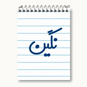 دفتر یادداشت نگین