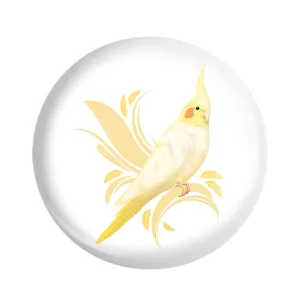 مگنت پرندگان زینتی