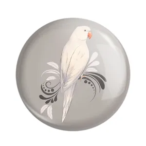 مگنت پرندگان زینتی