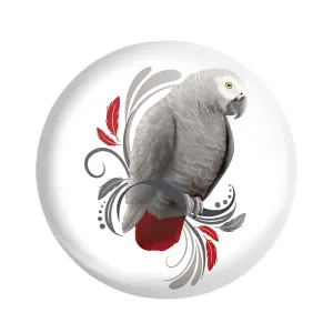 مگنت پرندگان زینتی