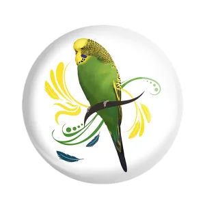 مگنت پرندگان زینتی