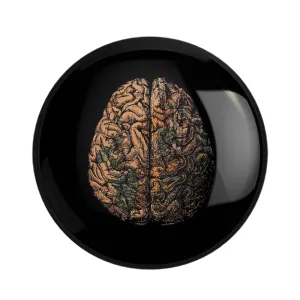 مگنت مغز Brain