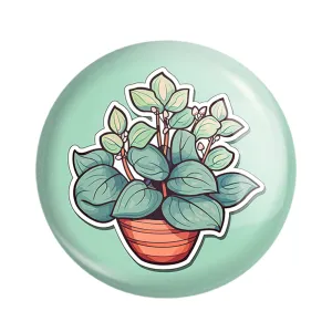 مگنت گل و گیاه