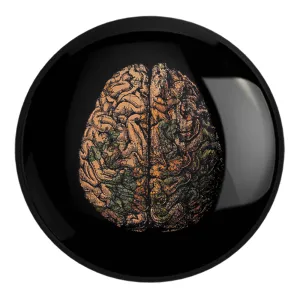 پیکسل بزرگ مغز Brain