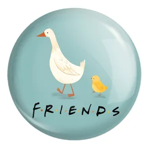 پیکسل بزرگ فرندز Friends