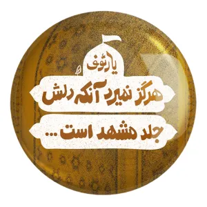پیکسل بزرگ حرم امام رضا