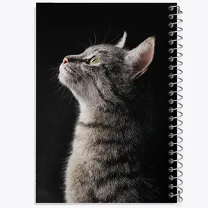 دفتر گربه (Cat)