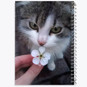 دفتر گربه (Cat)