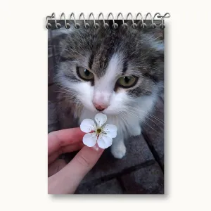 دفتر یادداشت گربه (Cat)