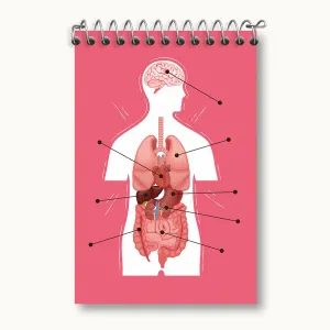 دفتر یادداشت ماکت بدن انسان