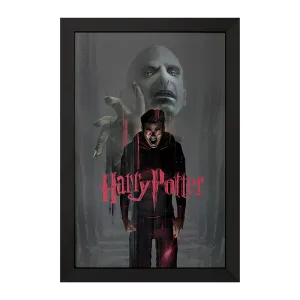 تابلو هری پاتر (Harry Potter)