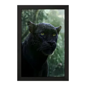 تابلو ببر سیاه