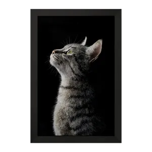 تابلو گربه (Cat)