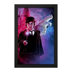 تابلو هری پاتر (Harry Potter)