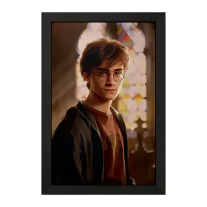 تابلو هری پاتر (Harry Potter)