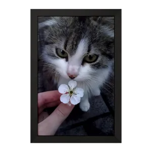 تابلو گربه (Cat)