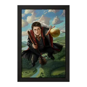 تابلو هری پاتر (Harry Potter)