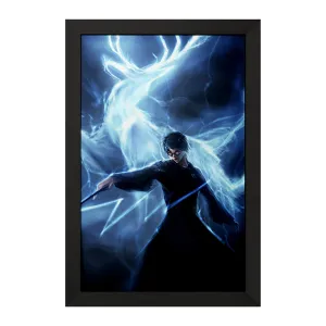 تابلو هری پاتر (Harry Potter)