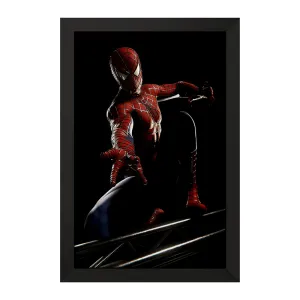 تابلو مرد عنکبوتی (Spider Man)