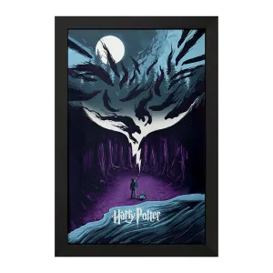 تابلو هری پاتر (Harry Potter)