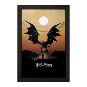 تابلو هری پاتر (Harry Potter)