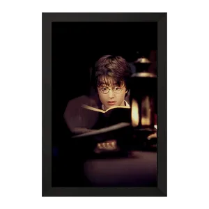 تابلو هری پاتر (Harry Potter)
