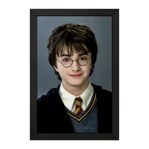 تابلو هری پاتر (Harry Potter)