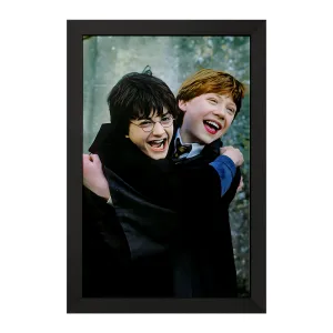 تابلو هری پاتر (Harry Potter)