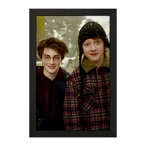 تابلو هری پاتر (Harry Potter)