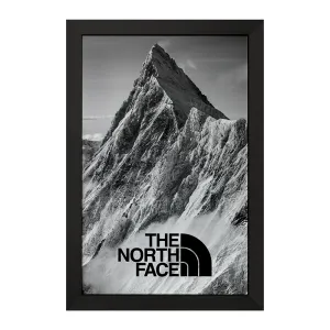 تابلو The North Face