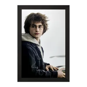 تابلو هری پاتر (Harry Potter)