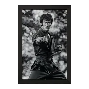 تابلو بورس لی (Bruce Lee)