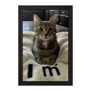 تابلو گربه (cat)