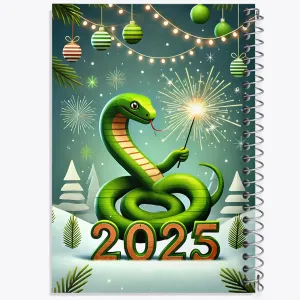 دفتر سال 2025 میلادی