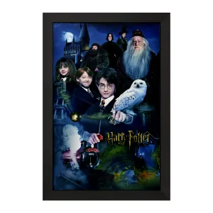 تابلو هری پاتر (Harry Potter)