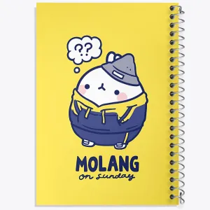 دفتر مولانگ (Molang)