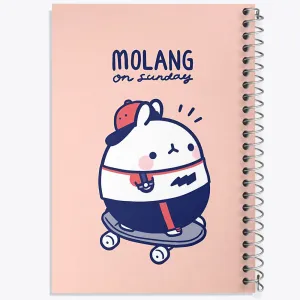 دفتر مولانگ (Molang)