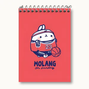 دفتر یادداشت مولانگ (Molang)
