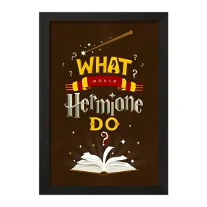 تابلو هری پاتر (Harry Potter)